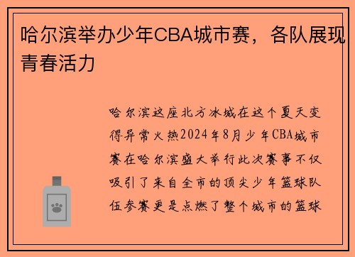 哈尔滨举办少年CBA城市赛，各队展现青春活力