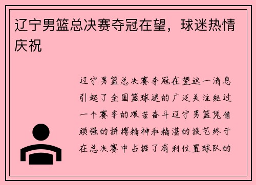 辽宁男篮总决赛夺冠在望，球迷热情庆祝